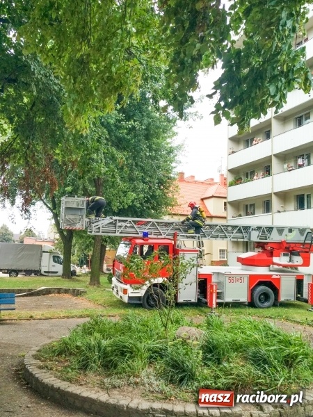 Zdjęcie w galerii na portalu naszraciborz.pl: Racibórz. Pożar na dziesiątym piętrze w bloku przy ul. Mysłowickiej FOTO i WIDEO wiadomości z regionu