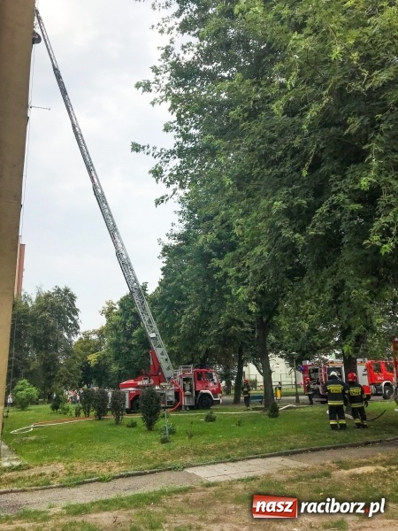 Zdjęcie w galerii na portalu naszraciborz.pl: Racibórz. Pożar na dziesiątym piętrze w bloku przy ul. Mysłowickiej FOTO i WIDEO wiadomości z regionu