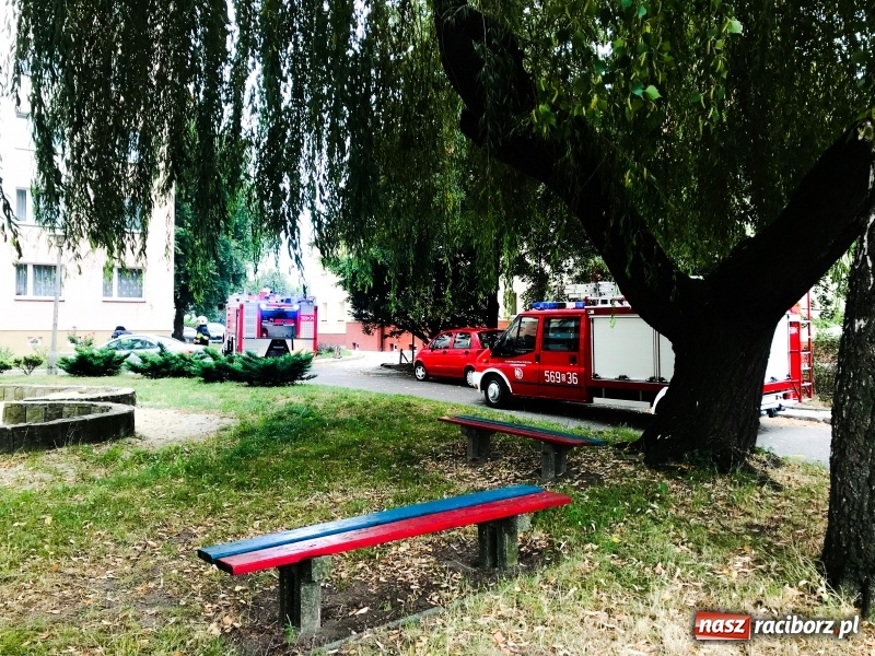 Zdjęcie w galerii na portalu naszraciborz.pl: Racibórz. Pożar na dziesiątym piętrze w bloku przy ul. Mysłowickiej FOTO i WIDEO wiadomości z regionu