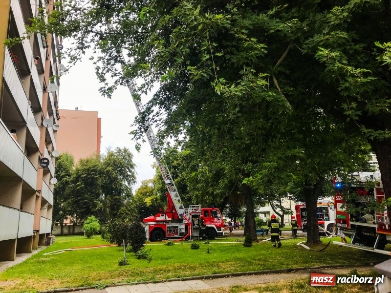 Zdjęcie w galerii na portalu naszraciborz.pl: Racibórz. Pożar na dziesiątym piętrze w bloku przy ul. Mysłowickiej FOTO i WIDEO wiadomości z regionu