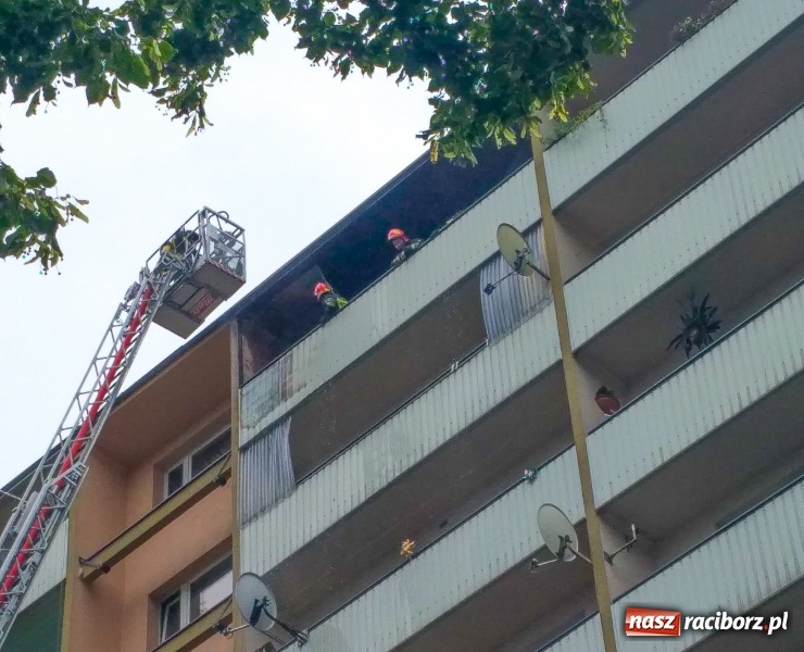 Zdjęcie w galerii na portalu naszraciborz.pl: Racibórz. Pożar na dziesiątym piętrze w bloku przy ul. Mysłowickiej FOTO i WIDEO wiadomości z regionu