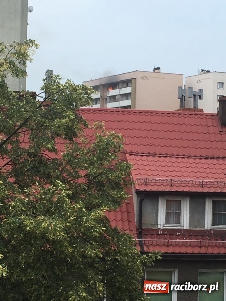 Zdjęcie w galerii na portalu naszraciborz.pl: Racibórz. Pożar na dziesiątym piętrze w bloku przy ul. Mysłowickiej FOTO i WIDEO wiadomości z regionu