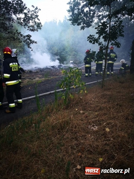Zdjęcie w galerii na portalu naszraciborz.pl: W Nędzy doszło do podpalenia lasu  wiadomości z regionu