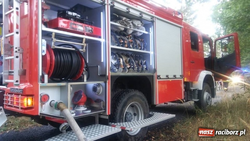 Zdjęcie w galerii na portalu naszraciborz.pl: W Nędzy doszło do podpalenia lasu  wiadomości z regionu