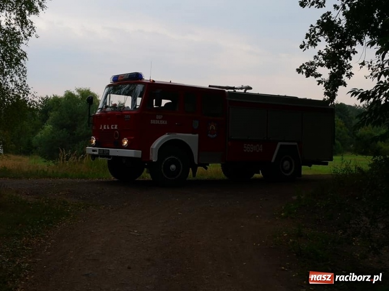 Zdjęcie w galerii na portalu naszraciborz.pl: W Nędzy doszło do podpalenia lasu  wiadomości z regionu
