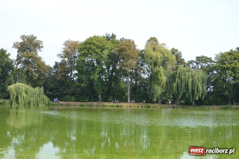 Zdjęcie w galerii na portalu naszraciborz.pl: Na tworkowskim Trzecioku wędkowali emeryci  wiadomości z regionu