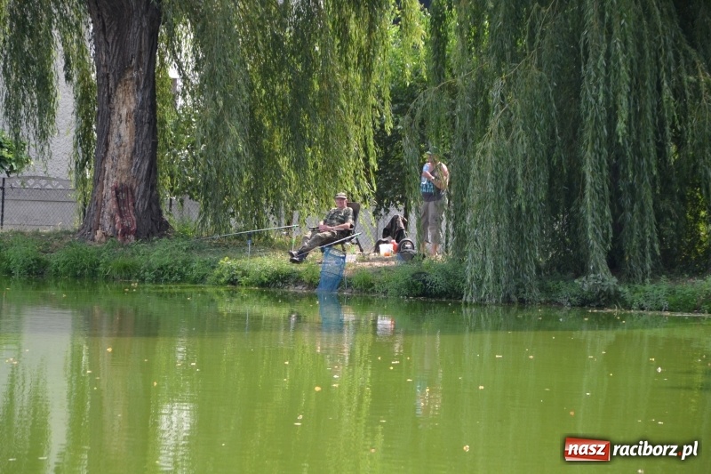 Zdjęcie w galerii na portalu naszraciborz.pl: Na tworkowskim Trzecioku wędkowali emeryci  wiadomości z regionu