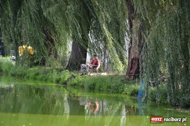 Zdjęcie w galerii na portalu naszraciborz.pl: Na tworkowskim Trzecioku wędkowali emeryci  wiadomości z regionu