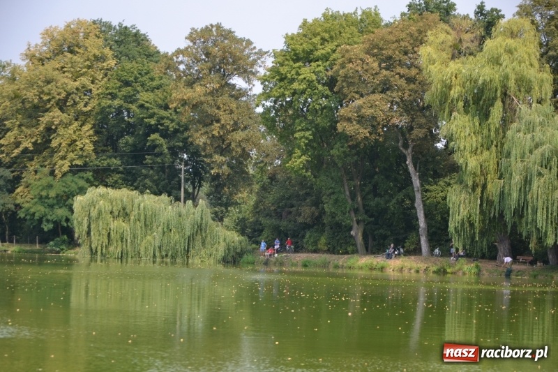 Zdjęcie w galerii na portalu naszraciborz.pl: Na tworkowskim Trzecioku wędkowali emeryci  wiadomości z regionu