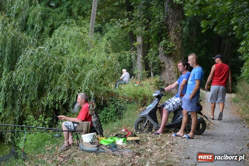 Zdjęcie w galerii na portalu naszraciborz.pl: Na tworkowskim Trzecioku wędkowali emeryci  wiadomości z regionu
