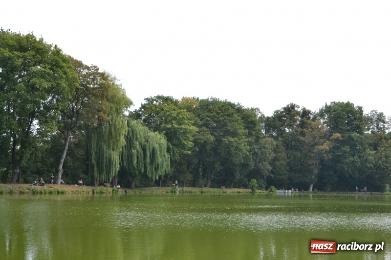 Zdjęcie w galerii na portalu naszraciborz.pl: Na tworkowskim Trzecioku wędkowali emeryci  wiadomości z regionu