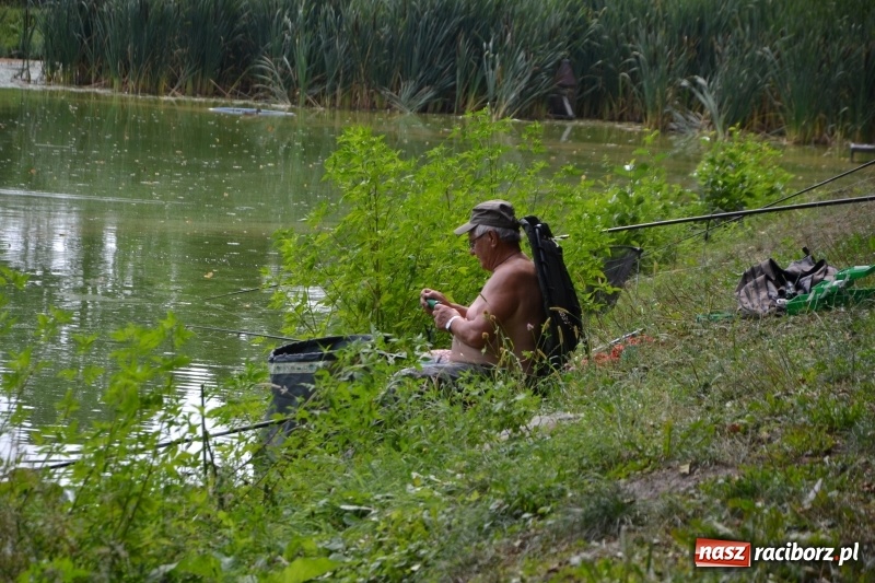 Zdjęcie w galerii na portalu naszraciborz.pl: Na tworkowskim Trzecioku wędkowali emeryci  wiadomości z regionu