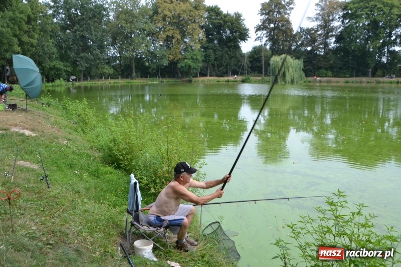 Zdjęcie w galerii na portalu naszraciborz.pl: Na tworkowskim Trzecioku wędkowali emeryci  wiadomości z regionu