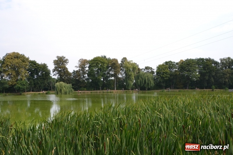 Zdjęcie w galerii na portalu naszraciborz.pl: Na tworkowskim Trzecioku wędkowali emeryci  wiadomości z regionu