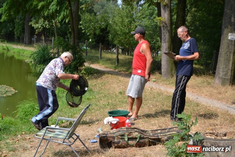Zdjęcie w galerii na portalu naszraciborz.pl: Na tworkowskim Trzecioku wędkowali emeryci  wiadomości z regionu