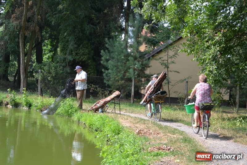 Zdjęcie w galerii na portalu naszraciborz.pl: Na tworkowskim Trzecioku wędkowali emeryci  wiadomości z regionu