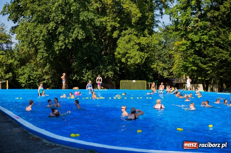 Zdjęcie w galerii na portalu naszraciborz.pl: Kąpielisko w Tworkowie. Kameralnie przy zamku  wiadomości z regionu