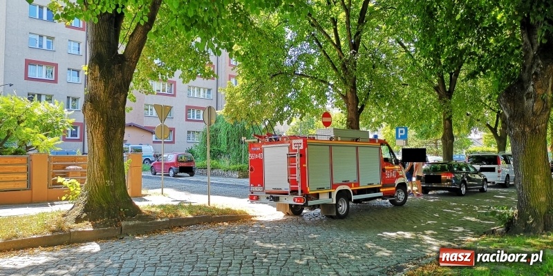 Zdjęcie w galerii na portalu naszraciborz.pl: Racibórz - Słowackiego. Mężczyzna spadł z ósmego piętra bloku na dach garażu wiadomości z regionu