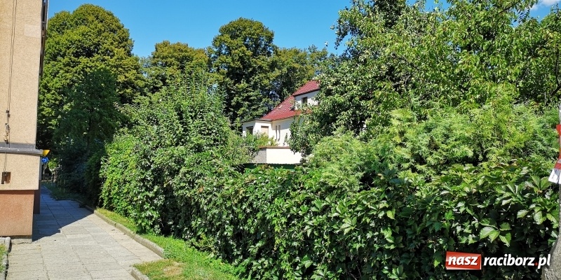 Zdjęcie w galerii na portalu naszraciborz.pl: Racibórz - Słowackiego. Mężczyzna spadł z ósmego piętra bloku na dach garażu wiadomości z regionu