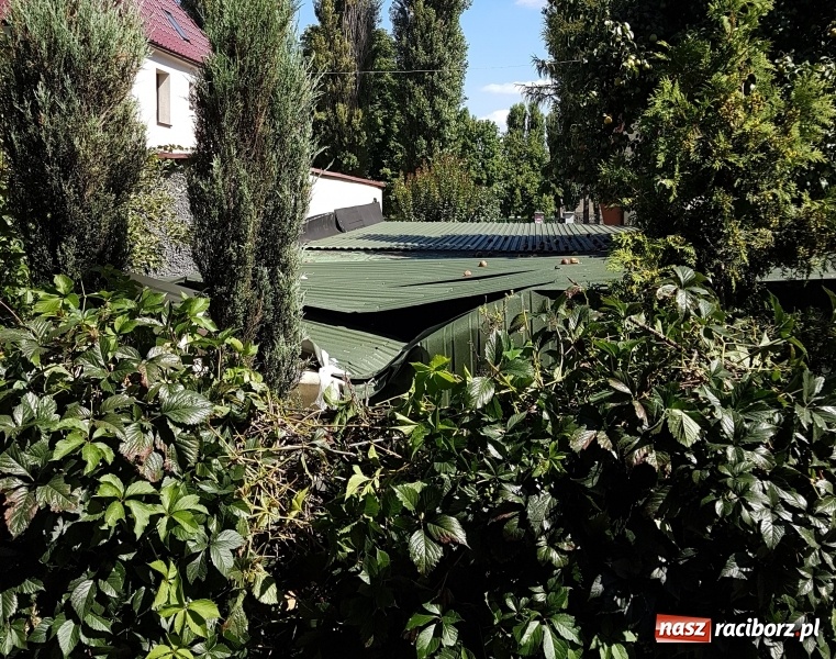 Zdjęcie w galerii na portalu naszraciborz.pl: Racibórz - Słowackiego. Mężczyzna spadł z ósmego piętra bloku na dach garażu wiadomości z regionu