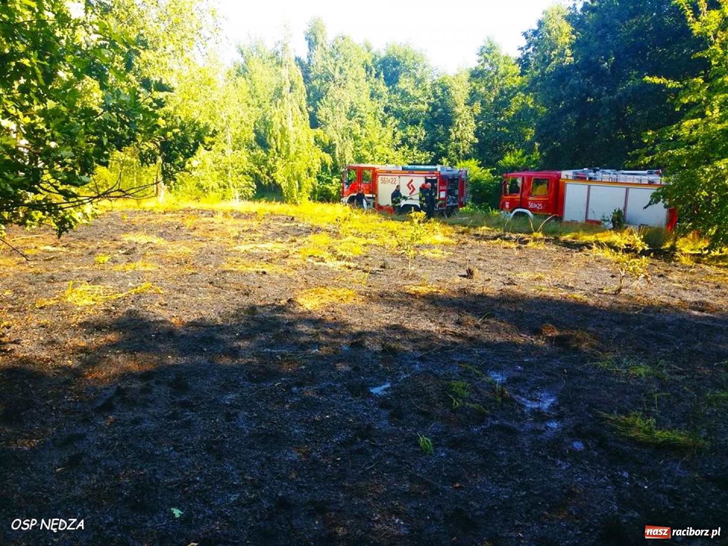 Zdjęcie w galerii na portalu naszraciborz.pl: Straż gasiła pożar trawy w Babicach. To prawdopodobnie robota podpalacza  wiadomości z regionu