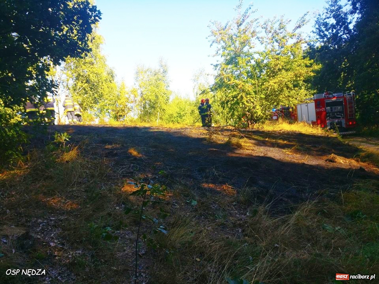 Zdjęcie w galerii na portalu naszraciborz.pl: Straż gasiła pożar trawy w Babicach. To prawdopodobnie robota podpalacza  wiadomości z regionu