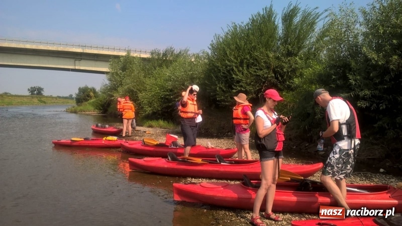 Zdjęcie w galerii na portalu naszraciborz.pl: Wakacje dla odkrywców. Odra na wysokości Płoni  wiadomości z regionu