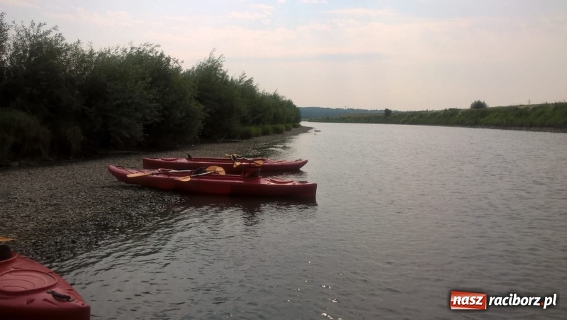 Zdjęcie w galerii na portalu naszraciborz.pl: Wakacje dla odkrywców. Odra na wysokości Płoni  wiadomości z regionu