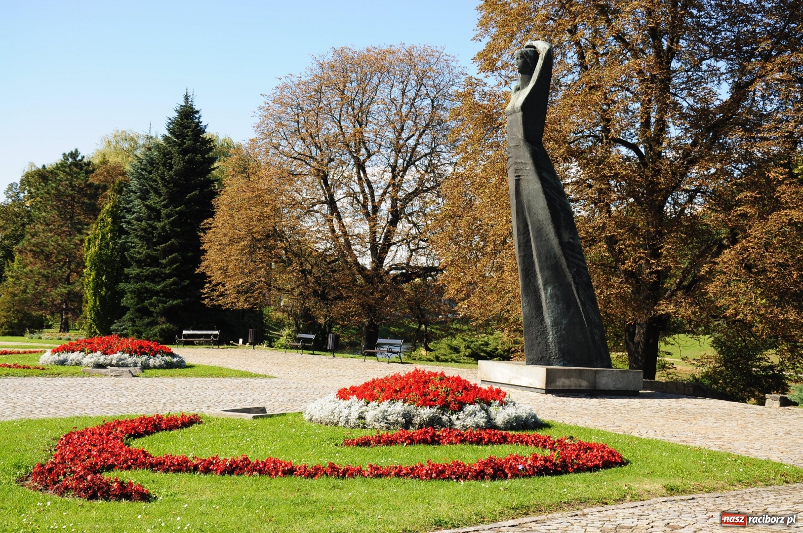 Zdjęcie w galerii na portalu naszraciborz.pl: Ukwiecony Racibórz - letni patrol florystyczny  wiadomości z regionu