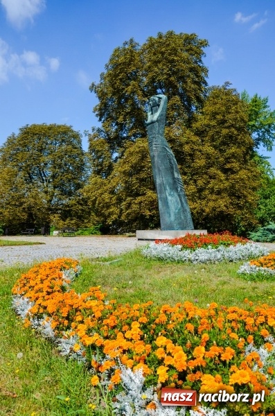 Zdjęcie w galerii na portalu naszraciborz.pl: Ukwiecony Racibórz - letni patrol florystyczny  wiadomości z regionu