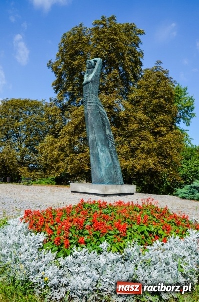 Zdjęcie w galerii na portalu naszraciborz.pl: Ukwiecony Racibórz - letni patrol florystyczny  wiadomości z regionu