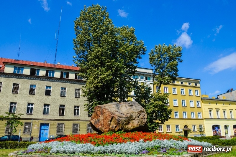 Zdjęcie w galerii na portalu naszraciborz.pl: Ukwiecony Racibórz - letni patrol florystyczny  wiadomości z regionu