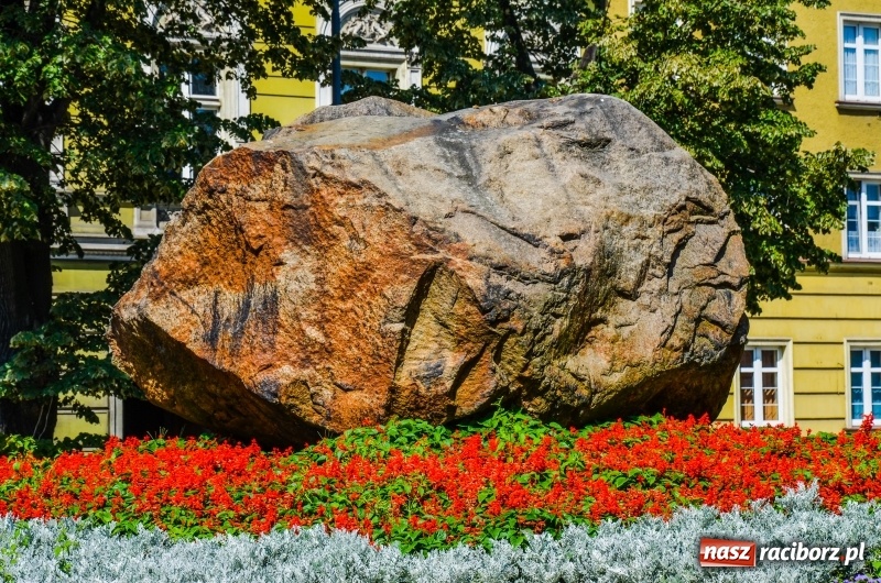 Zdjęcie w galerii na portalu naszraciborz.pl: Ukwiecony Racibórz - letni patrol florystyczny  wiadomości z regionu