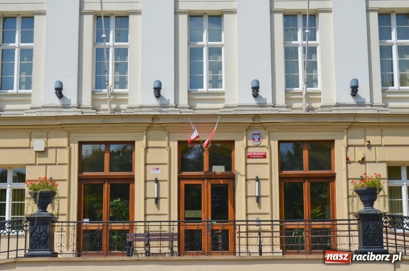 Zdjęcie w galerii na portalu naszraciborz.pl: Ukwiecony Racibórz - letni patrol florystyczny  wiadomości z regionu