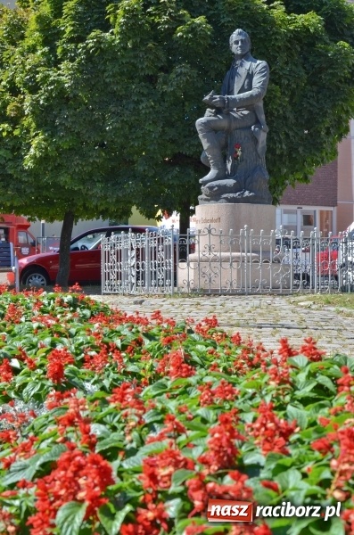 Zdjęcie w galerii na portalu naszraciborz.pl: Ukwiecony Racibórz - letni patrol florystyczny  wiadomości z regionu