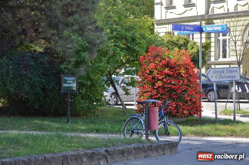 Zdjęcie w galerii na portalu naszraciborz.pl: Ukwiecony Racibórz - letni patrol florystyczny  wiadomości z regionu