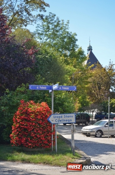 Zdjęcie w galerii na portalu naszraciborz.pl: Ukwiecony Racibórz - letni patrol florystyczny  wiadomości z regionu