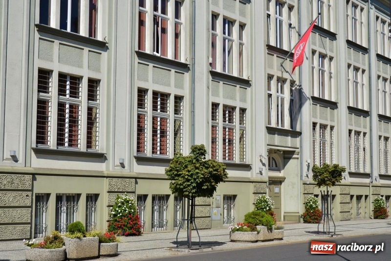 Zdjęcie w galerii na portalu naszraciborz.pl: Ukwiecony Racibórz - letni patrol florystyczny  wiadomości z regionu