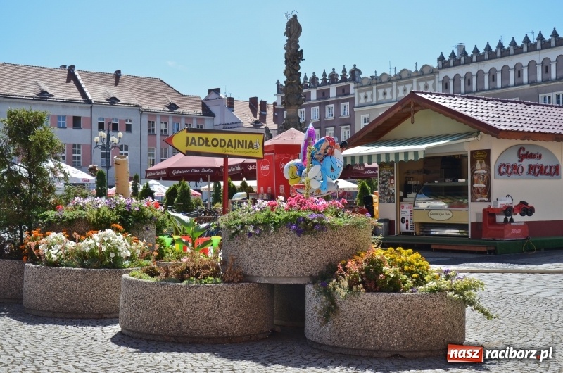 Zdjęcie w galerii na portalu naszraciborz.pl: Ukwiecony Racibórz - letni patrol florystyczny  wiadomości z regionu