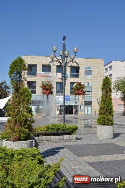 Zdjęcie w galerii na portalu naszraciborz.pl: Ukwiecony Racibórz - letni patrol florystyczny  wiadomości z regionu