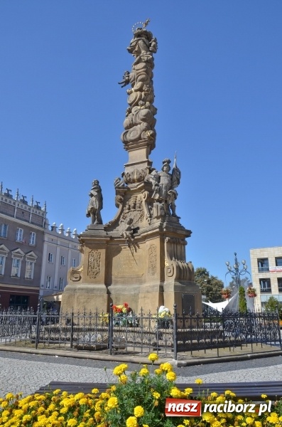 Zdjęcie w galerii na portalu naszraciborz.pl: Ukwiecony Racibórz - letni patrol florystyczny  wiadomości z regionu