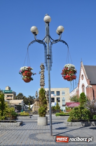 Zdjęcie w galerii na portalu naszraciborz.pl: Ukwiecony Racibórz - letni patrol florystyczny  wiadomości z regionu