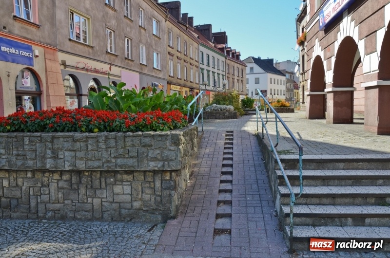 Zdjęcie w galerii na portalu naszraciborz.pl: Ukwiecony Racibórz - letni patrol florystyczny  wiadomości z regionu