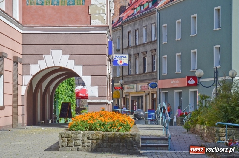 Zdjęcie w galerii na portalu naszraciborz.pl: Ukwiecony Racibórz - letni patrol florystyczny  wiadomości z regionu