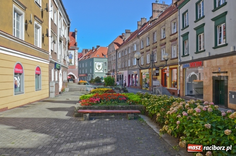 Zdjęcie w galerii na portalu naszraciborz.pl: Ukwiecony Racibórz - letni patrol florystyczny  wiadomości z regionu