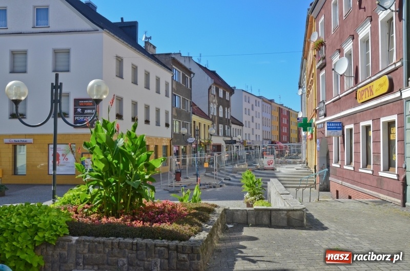 Zdjęcie w galerii na portalu naszraciborz.pl: Ukwiecony Racibórz - letni patrol florystyczny  wiadomości z regionu