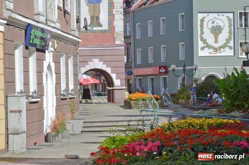 Zdjęcie w galerii na portalu naszraciborz.pl: Ukwiecony Racibórz - letni patrol florystyczny  wiadomości z regionu