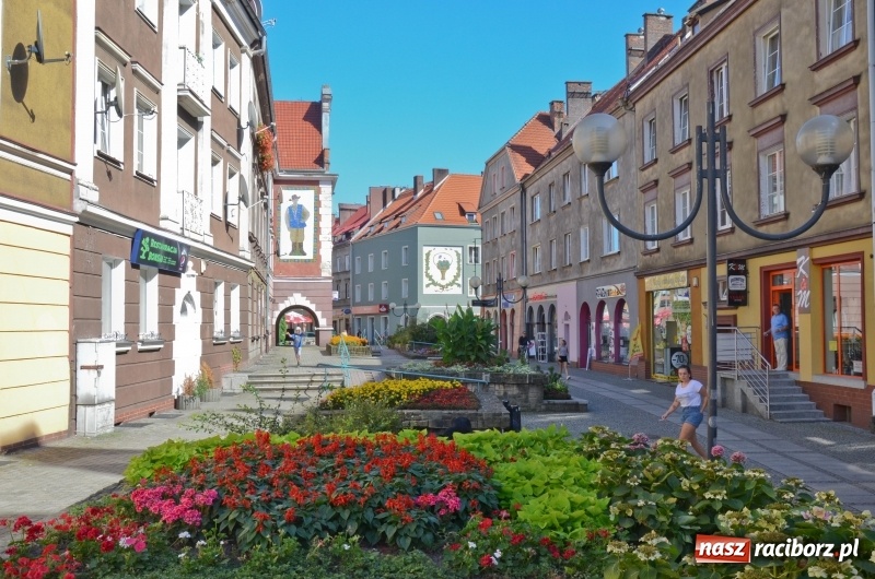 Zdjęcie w galerii na portalu naszraciborz.pl: Ukwiecony Racibórz - letni patrol florystyczny  wiadomości z regionu