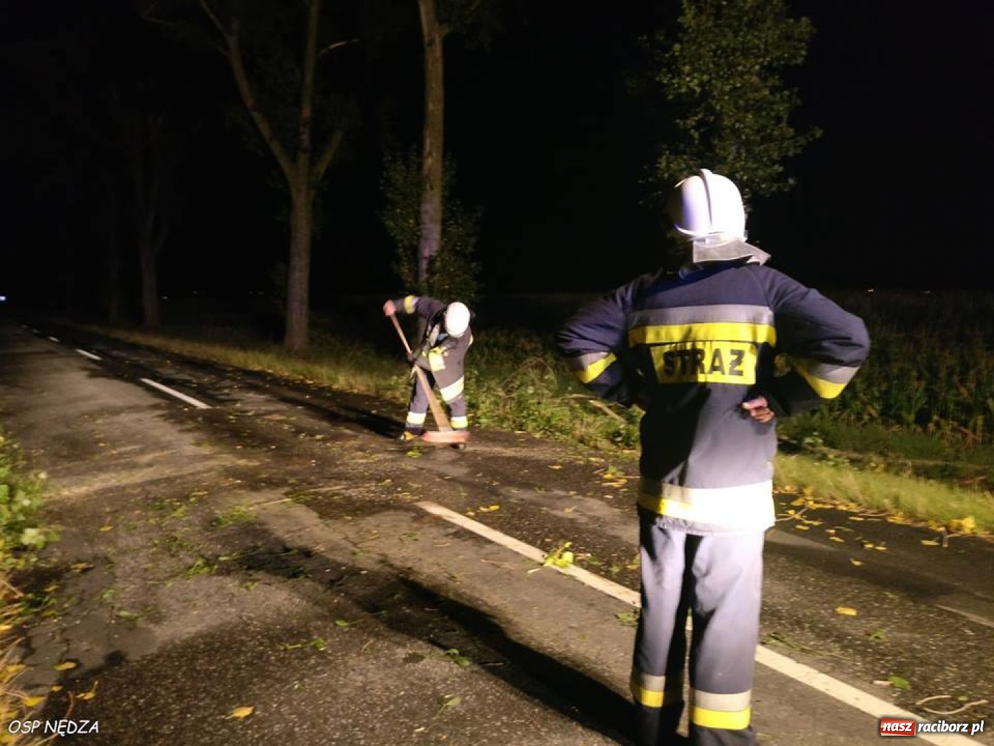 Zdjęcie w galerii na portalu naszraciborz.pl: Powalone drzewo, owady i przypalony obiad. Środa raciborskich strażaków wiadomości z regionu