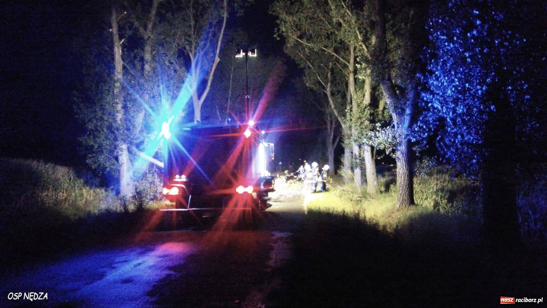 Zdjęcie w galerii na portalu naszraciborz.pl: Powalone drzewo, owady i przypalony obiad. Środa raciborskich strażaków wiadomości z regionu